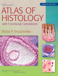 diFIORE’S Atlas of Histology with Functional Correlations